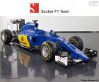 Команда формируется Маркус Ericsson, Felipe Наср и нового Sauber C34